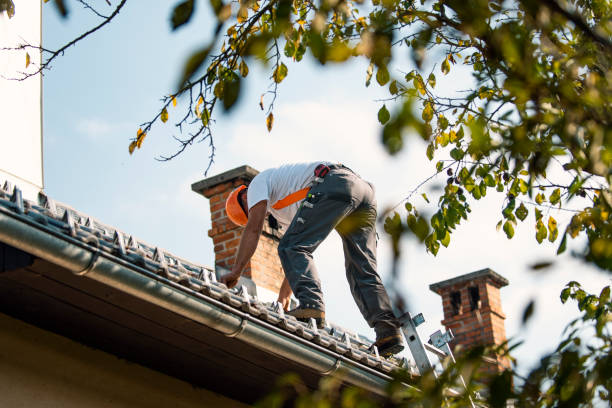 Best Roof Gutter Cleaning  in Evendale, OH